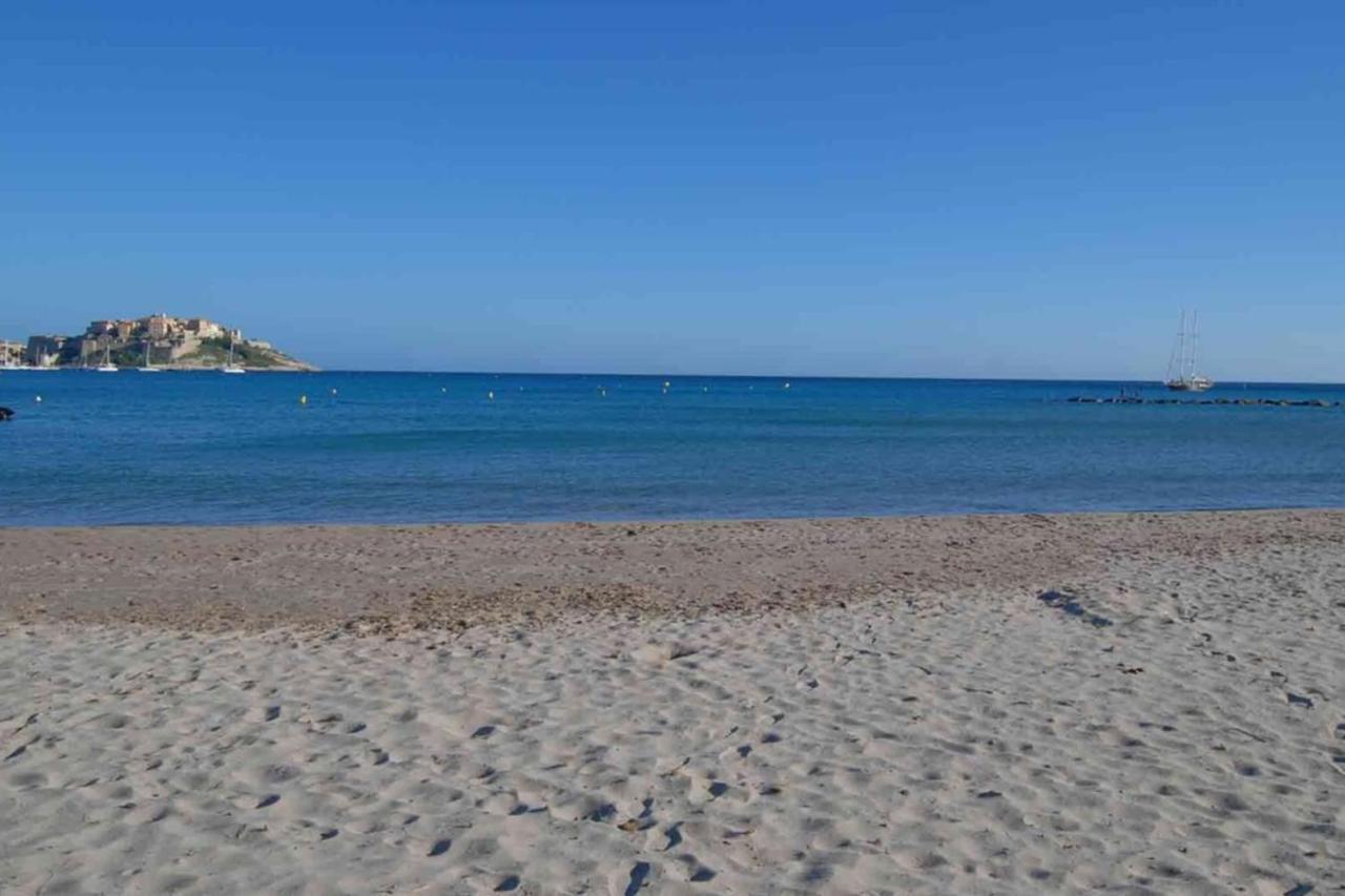Location De Vacances Olivier Jardin Privatif Et Piscine Chauffee Partagee カルヴィ エクステリア 写真