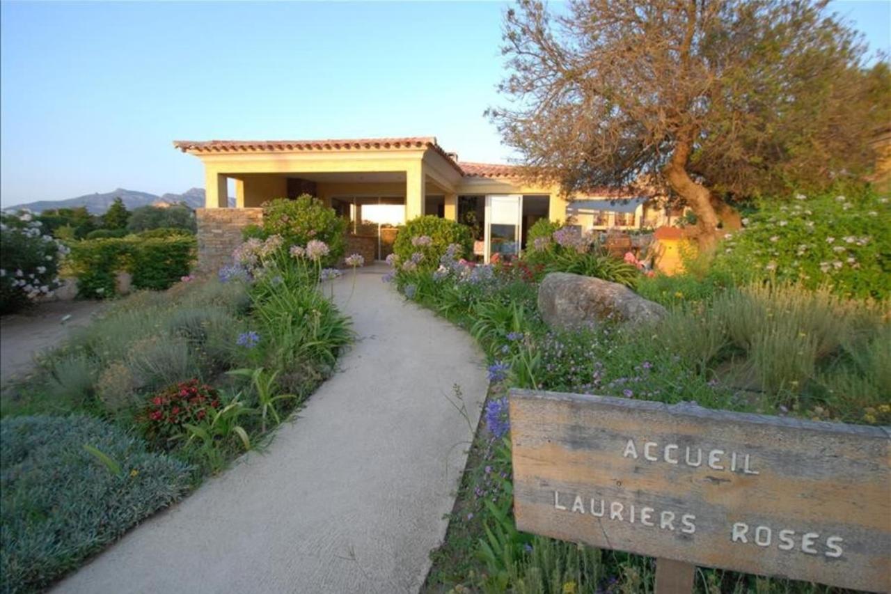 Location De Vacances Olivier Jardin Privatif Et Piscine Chauffee Partagee カルヴィ エクステリア 写真