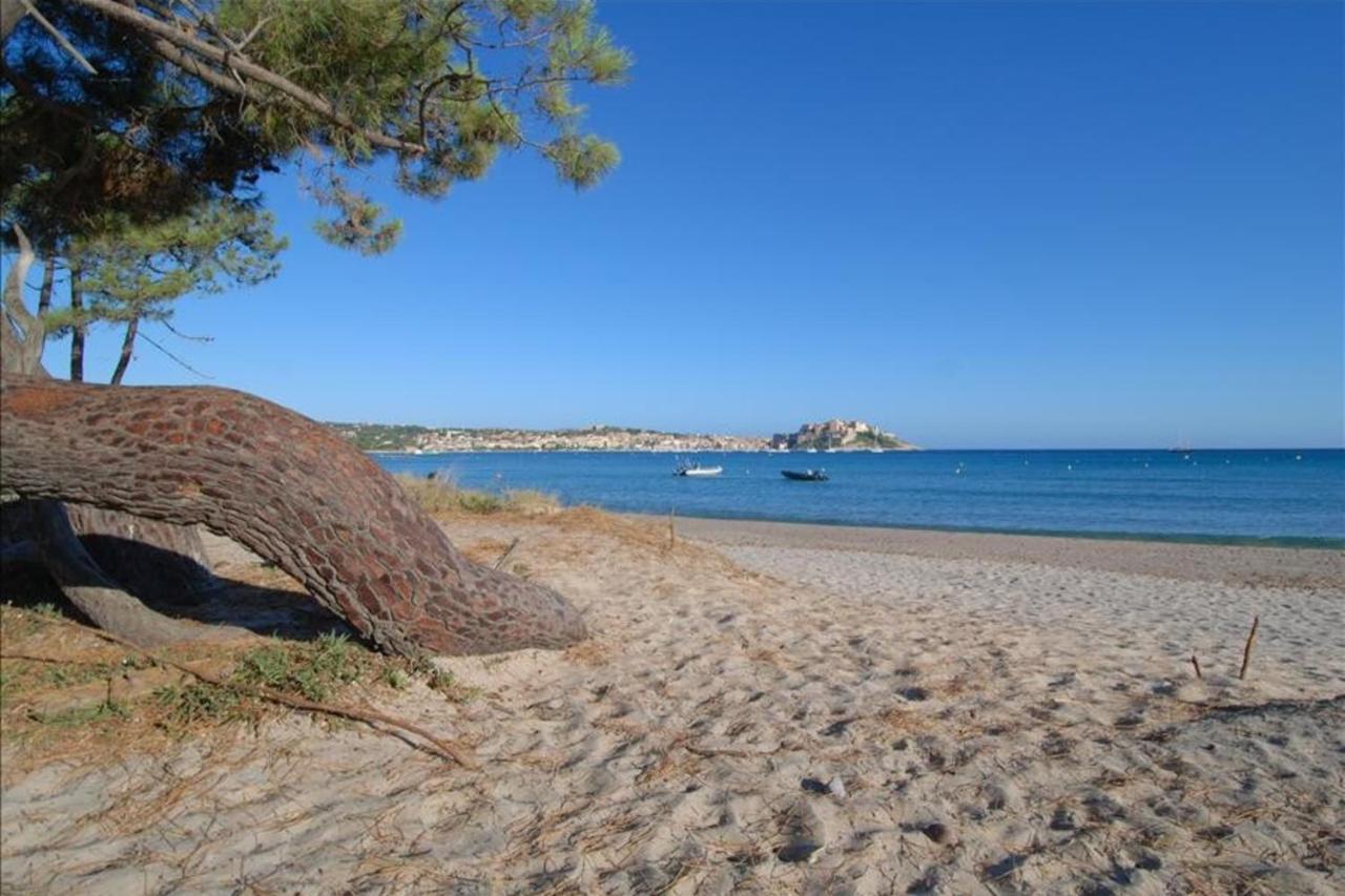 Location De Vacances Olivier Jardin Privatif Et Piscine Chauffee Partagee カルヴィ エクステリア 写真